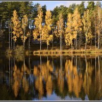 Прекрасная пора... :: Aleksandr Gal