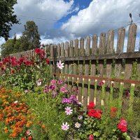 Наслаждение :: Алексей Домрин