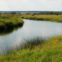 Излучина :: Наталья Лунева 