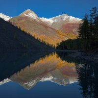 * :: Александр Иванов