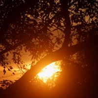 Осенний поцелуй :: олег свирский 