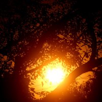 Последний аккорд лета :: олег свирский 