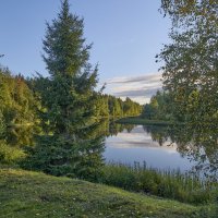 Обычный день :: Борис Устюжанин