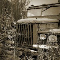 Старичок. :: Алексей Ильичёв Старичок. :: Алексей Ильичёв