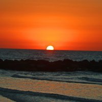 Хайфа 2025 :: Владислав Воровский 