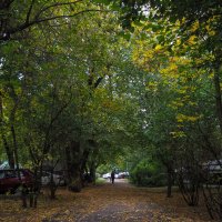 ***** :: юрий поляков