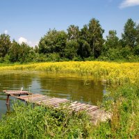 На берегу озера :: lyudmila Курлова