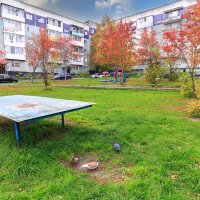 Осень в моем городе :: Сергей Винтовкин