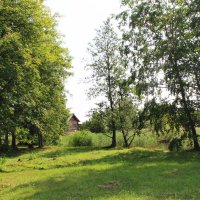 Кижи. Деревня. :: Любовь *** Кижи. Деревня. :: Любовь ***