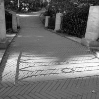 Полуденная тень :: Лариса Корж Полуденная тень :: Лариса Корж