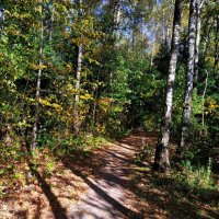 Бабье лето длинным не бывает :: Андрей Лукьянов