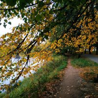 Бабье лето длинным не бывает :: Андрей Лукьянов Бабье лето длинным не бывает :: Андрей Лукьянов
