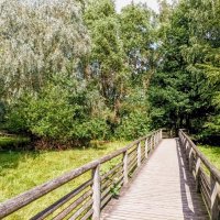 Прогулка по зоопарку :: Veera V