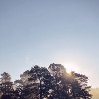 Утро,туманное... :: Георгиевич 