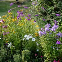 Цветы :: Валерий Пославский