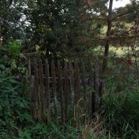 Старая калитка. :: Люба Старая калитка. :: Люба