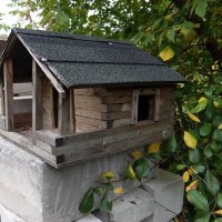 Кто, кто в теремочке живёт? :: Люба 