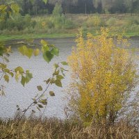 Осень :: Елена Семигина Осень :: Елена Семигина