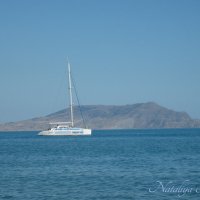 Природа Крыма :: Amazing Cosmea