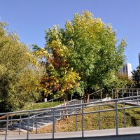 Пандус :: Анатолий Колосов