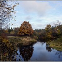 *** :: Aleksandr Gal