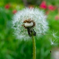 Вот вот и полетим :: Владимир Иванович