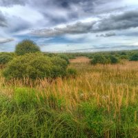 Красоты Подмосковья :: Наталья Лакомова