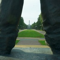 парк, колесо... :: Андрей Катков