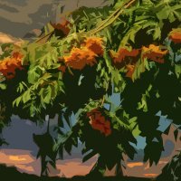 Рябина :: Анатолий Уткин