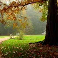 Звонок из осени :: Юрий. Шмаков