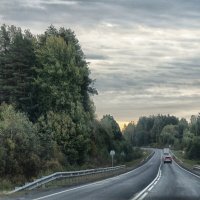 дорога..... :: Ольга Cоломатина