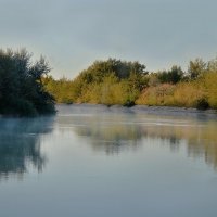 Тихая поступь Осени.... :: Надежда Куркина 