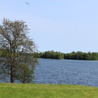 Вид на Онежское озеро :: Любовь ***