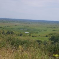 без названия :: fogmeadowww m