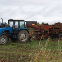 Сбор урожая картофеля. :: Марина Никулина Сбор урожая картофеля. :: Марина Никулина