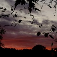 Закат :: Мария Яковлева