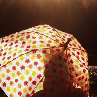 Прятки с осенью :: Светлана Никитина