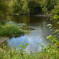 Тишина :: Леонид Иванчук