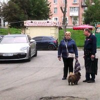 Не только дамы :: Сергей Уткин