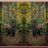 Краски осени :: Владимир Кроливец