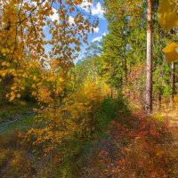 Осенние краски :: Vladimbormotov