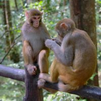 ...делёж... :: Andrey Bragin 