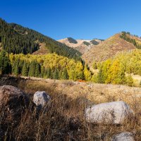 Шаги сентября :: Алексей Большаков