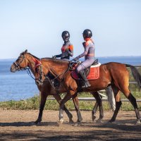 * :: Александр Лисовский