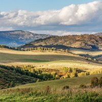 Риддер :: Дмитрий 