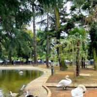 Грузия. Батуми. Батумский бульвар. :: Ольга Довженко Грузия. Батуми. Батумский бульвар. :: Ольга Довженко