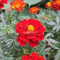 ,,, :: Сергей Тимоновский