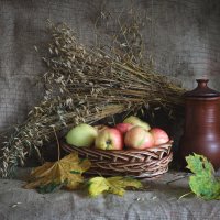 урожай :: Владимир Зеленцов