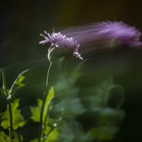 Движение :: Николай Галкин 