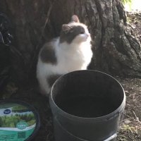 Отдых на природе :: Ольга 